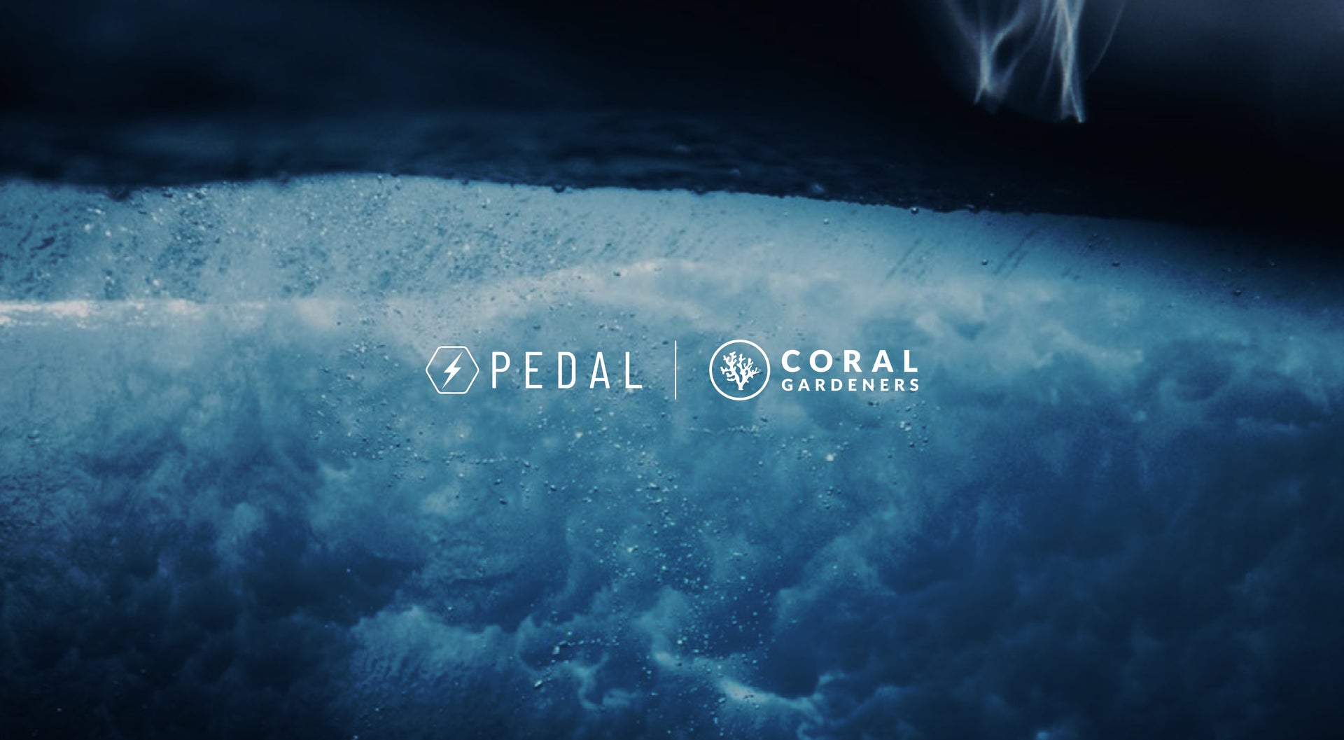 Pedal Electric x Coral Gardeners