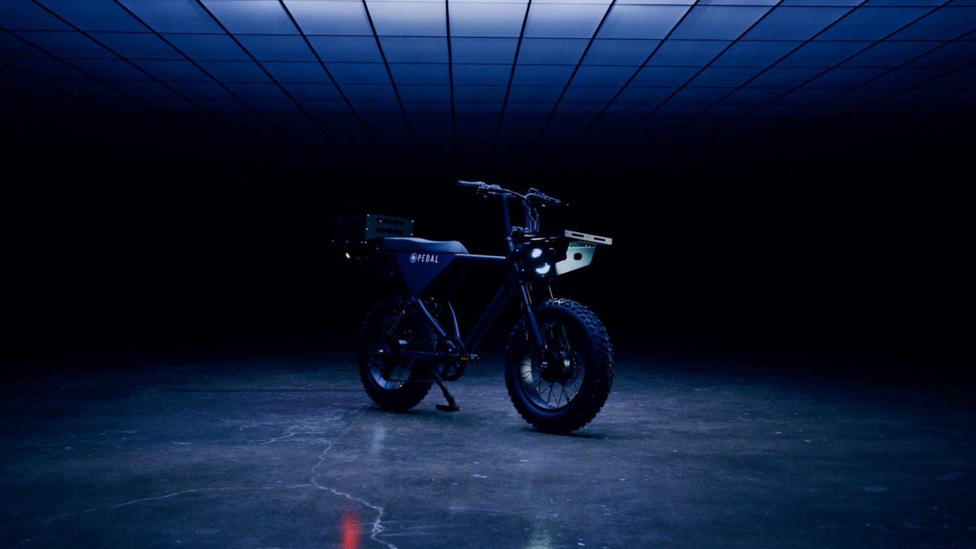 Coral Gardeners X Pedal Electric