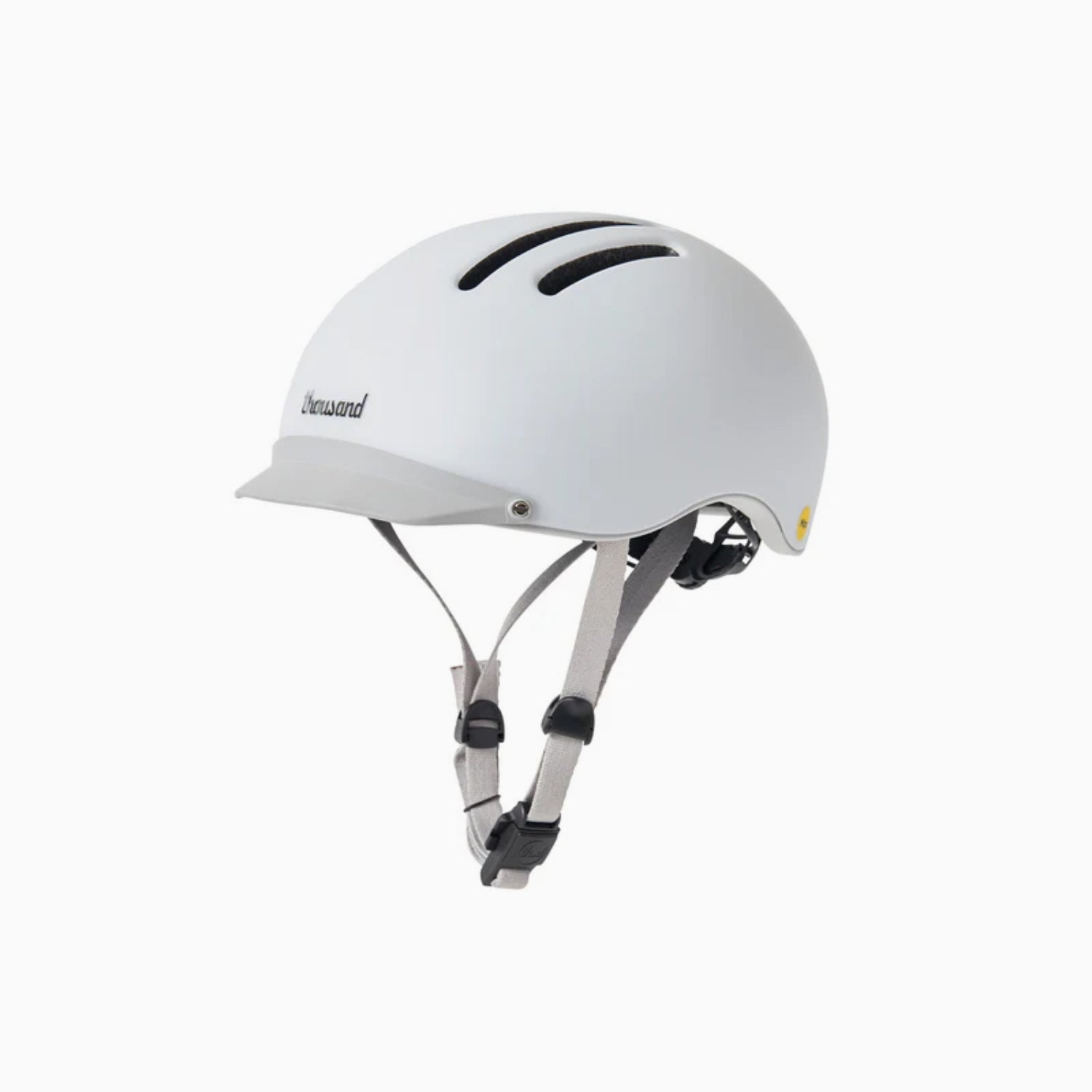 Chapter MIPS Helmet